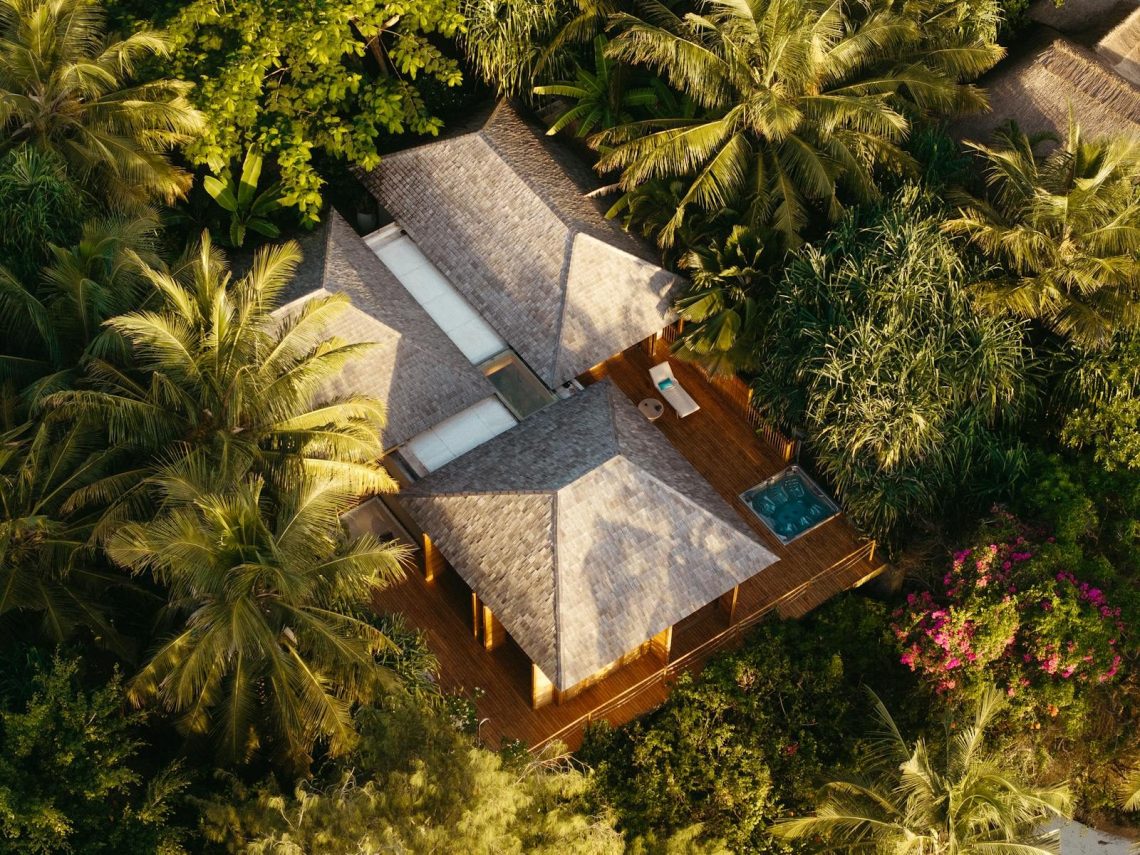 Explore a luxurious eco-resort nestled in the lush forests of Tanzania.