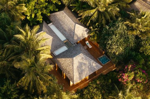 Explore a luxurious eco-resort nestled in the lush forests of Tanzania.